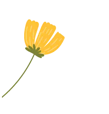 1662195171116037.png image.png